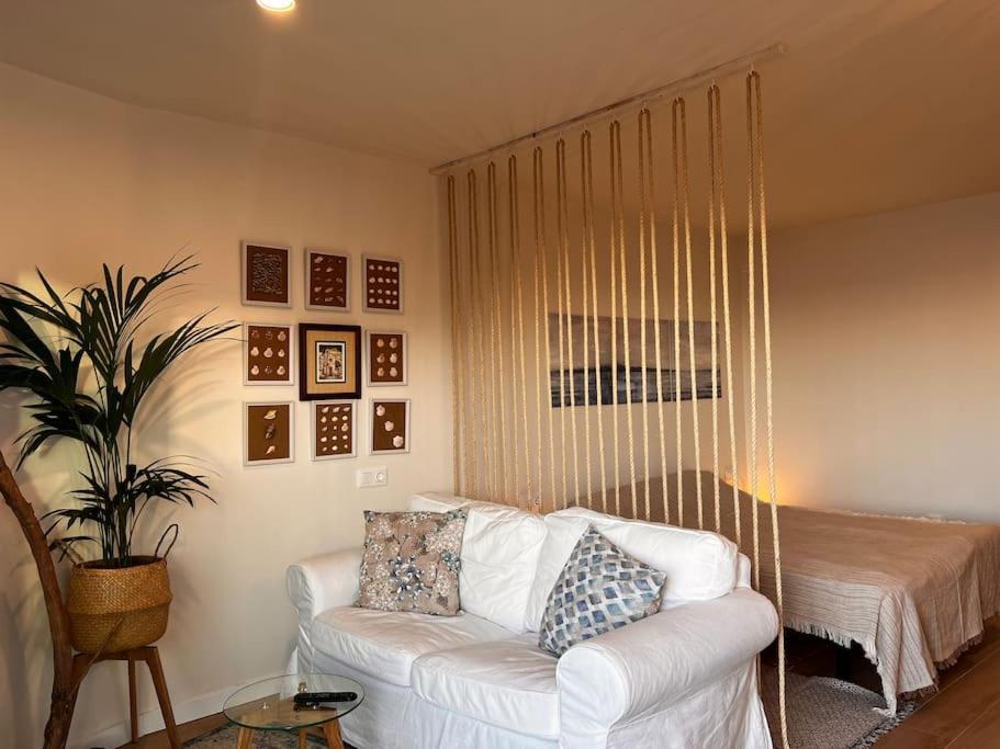 Ocean Dream Apartments - Lovely Sea View Studio Apartment 5Min From Beach San Marcos  المظهر الخارجي الصورة